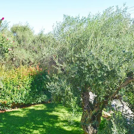 Pebbles And Sea At With Shared Pool Appartement Barbati